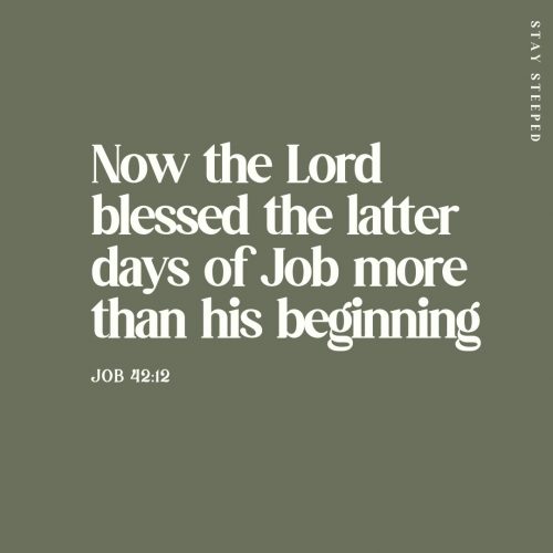 Bible verse Job 42:12 now the Lord blessed the latter days of Job more than his beginning
